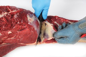 Meat Cut Spec Step 2